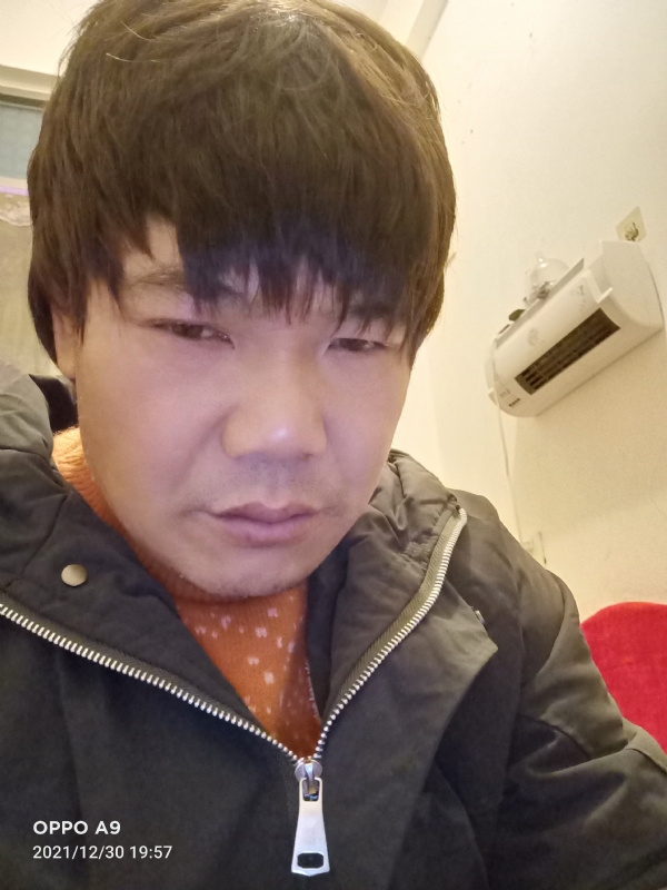 小鸟找窝的第二张照片--德化婚介网
